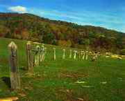 临江天气预报15天