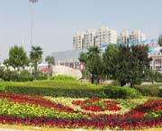 长安天气预报7天