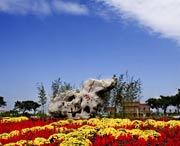 桓台天气预报7天