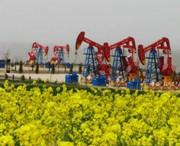 西峰天气预报60天