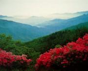 正宁天气预报7天