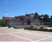 镇原天气预报40天