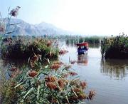 永靖天气预报7天