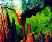 无为天气预报30天