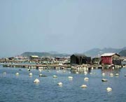 连江天气预报30天