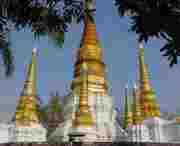 瑞丽天气预报40天